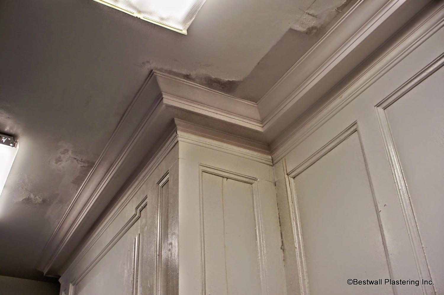 Montclair, NJ Plaster Molding Restored